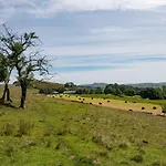 Lowtown