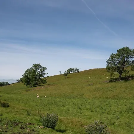 Ferienhaus Lowtown *